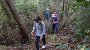 Thumbnail of pic_CW_Ho_093.JPG