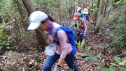 Thumbnail of pic_CW_Ho_094.JPG