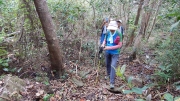 Thumbnail of pic_CW_Ho_095.JPG