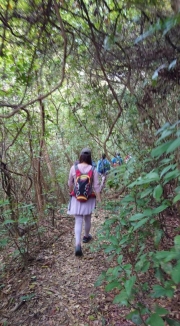 Thumbnail of pic_KC_Chan_014.jpg