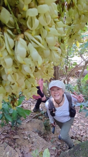 Thumbnail of pic_KC_Chan_024.jpg