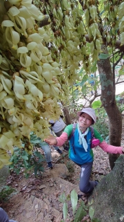Thumbnail of pic_KC_Chan_025.jpg