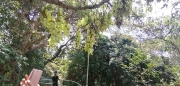 Thumbnail of pic_Lee_Woo_011.jpg