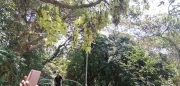 Thumbnail of pic_Lee_Woo_012.jpg