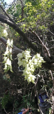 Thumbnail of pic_Lee_Woo_013.jpg