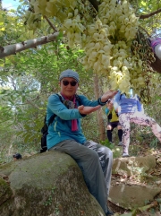 Thumbnail of pic_SK_Kwan_009.JPG