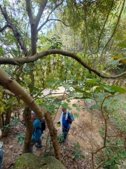 Thumbnail of pic_SK_Kwan_012.JPG