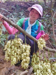 Thumbnail of pic_SK_Kwan_013.JPG