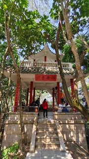 Thumbnail of pic_Derek_Wong_063.jpg