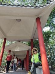 Thumbnail of pic_Kwok_Lam_020.jpg