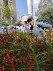 Thumbnail of pic_Kwok_Lam_075.jpg
