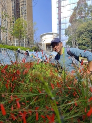 Thumbnail of pic_Kwok_Lam_076.jpg