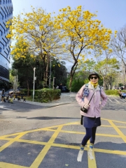 Thumbnail of pic_Kwok_Lam_078.jpg
