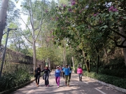 Thumbnail of pic_WaiG_042.jpg