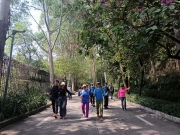 Thumbnail of pic_WaiG_043.jpg