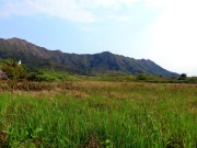 Thumbnail of pic_Bill_Cheung_006.JPG