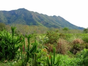 Thumbnail of pic_Bill_Cheung_010.JPG