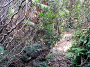 Thumbnail of pic_Bill_Cheung_018.JPG