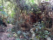 Thumbnail of pic_Bill_Cheung_019.JPG