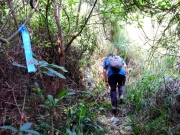 Thumbnail of pic_Bill_Cheung_021.JPG