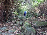 Thumbnail of pic_Bill_Cheung_022.JPG