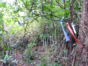 Thumbnail of pic_Bill_Cheung_023.JPG