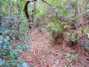 Thumbnail of pic_Bill_Cheung_024.JPG