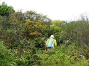 Thumbnail of pic_Bill_Cheung_026.JPG