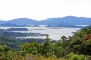 Thumbnail of pic_Bill_Cheung_033.JPG