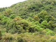 Thumbnail of pic_Bill_Cheung_034.JPG