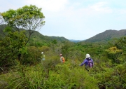 Thumbnail of pic_Bill_Cheung_036.JPG