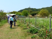 Thumbnail of pic_Bill_Cheung_047.JPG