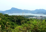 Thumbnail of pic_Bill_Cheung_060.JPG