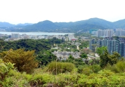 Thumbnail of pic_Bill_Cheung_065.JPG