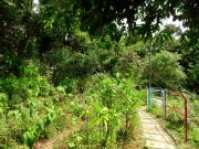 Thumbnail of pic_Bill_Cheung_070.JPG
