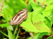 Thumbnail of pic_Bill_Cheung_071.JPG