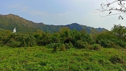 Thumbnail of pic_Bill_Cheung_073.jpg