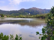 Thumbnail of pic_Bill_Cheung_101.JPG