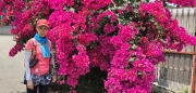 Thumbnail of pic_CW_Ho_047.jpg