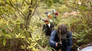 Thumbnail of pic_CW_Ho_049.JPG