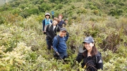 Thumbnail of pic_CW_Ho_054.JPG