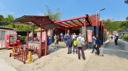 Thumbnail of pic_Derek_Wong_019.jpg