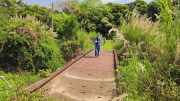 Thumbnail of pic_Derek_Wong_058.jpg