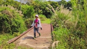 Thumbnail of pic_Derek_Wong_059.jpg