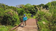Thumbnail of pic_Derek_Wong_061.jpg