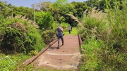 Thumbnail of pic_Derek_Wong_067.jpg