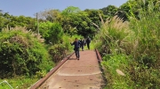 Thumbnail of pic_Derek_Wong_069.jpg