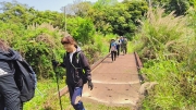 Thumbnail of pic_Derek_Wong_070.jpg