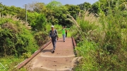 Thumbnail of pic_Derek_Wong_075.jpg