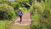 Thumbnail of pic_Derek_Wong_079.jpg